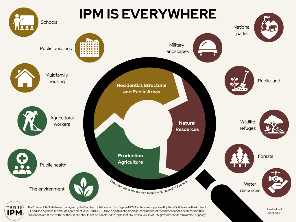 Title: IPM is Everywhere Overview: This infographic titled “IPM is Everywhere” illustrates three main areas where Integrated Pest Management (IPM) is practiced: natural resources, production agriculture, and residential, structural, and public environments. Each category includes examples of settings where IPM is applied. Central Image: Magnifying glass image in the middle of the page that covers a circular donut chart with three headings/categories where IPM is practiced: natural resources, production agriculture, and residential, structural, and public areas Header: Residential, Structural, and Public Areas Text: Schools (under Residential, Structural, and Public Areas) Image: icon representing a classroom with a teacher and students Text: Public buildings (under Residential, Structural, and Public Areas) Image: icon representing multiple skyscraper buildings Text: Multifamily housing (under Residential, Structural, and Public Areas) Image: icon representing a residential structure Header: Production Agriculture Text: Agricultural workers (under Production Agriculture) Image: icon representing a farmer wearing a hat while using a hoe to cultivate soil Text: Public health (under Production Agriculture) Image: icon representing healthcare and community health Text: The environment (under Production Agriculture) Image: icon representing a three-leaf cluster Header: Natural Resources Text: Military landscapes (under Natural Resources) Image: icon representing a modern military helmet with straps Text: National Parks (under Natural Resources) Image: icon representing wildlife and protected landscapes Text: Public land (under Natural Resources) Image: icon representing a spade stuck in a pile of freshly dug dirt with a newly sprouted plant beside the pile of dirt Text: Wildlife refugees (under Natural Resources) Image: icon representing wildlife in a natural habitat Text: Forests (under Natural Resources) Image: icon representing three tall pine trees Text: Water Resources (under Natural Resources) Image: icon representing an outstretched hand underneath a water faucet Image + Logo Text: A circular logo contains the text “This is IPM” Text: The “This is IPM” Initiative is managed by the Southern IPM Center. The Regional IPM Centers are supported by the USDA National Institute of Food and Agriculture through agreement 2022-70006-38002. Any opinions, findings, conclusions, or recommendations expressed in this publication are those of the author(s) and should not be construed to represent any official USDA or U.S. government determination or policy. Logo Text: Southern IPM Center